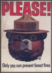 smokey-the-bear-classic