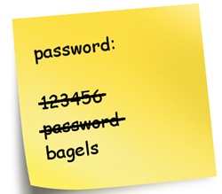 steal this password